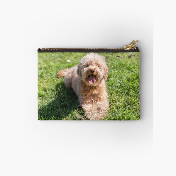 Item preview, Cavoodle designed and sold by Chris Kean.