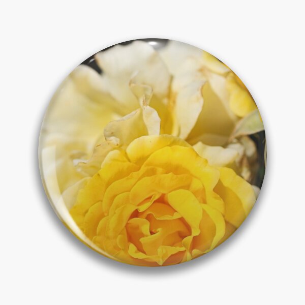 Item preview, The Gold Bunny Rose Flowering designed and sold by Joy Watson - Natural Light Photography .