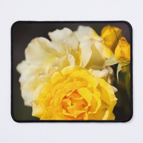 Item preview, The Gold Bunny Rose Flowering designed and sold by Joy Watson - Natural Light Photography .