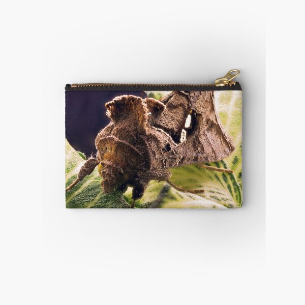 Item preview, Cabbage looper moth macro photo designed and sold by hendrikspix.