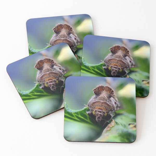 Item preview, Cabbage looper moth macro photo designed and sold by hendrikspix.