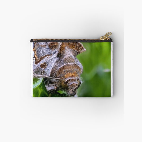 Item preview, Cabbage looper moth macro photo designed and sold by hendrikspix.