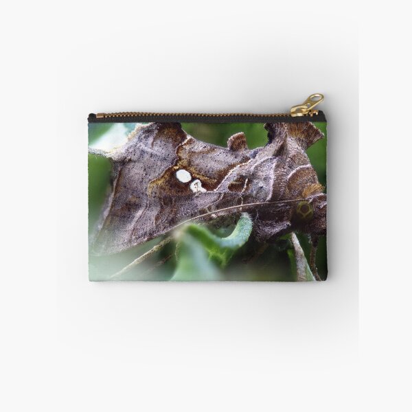 Item preview, Cabbage looper moth macro photo designed and sold by hendrikspix.