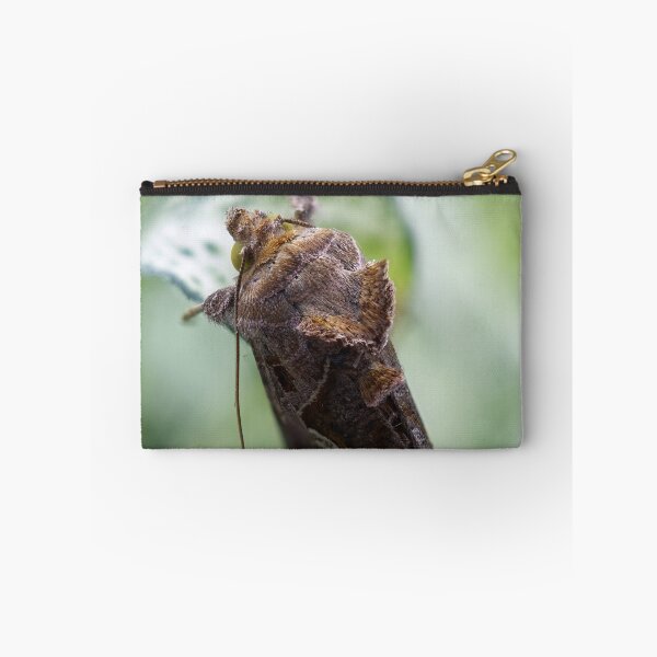 Item preview, Cabbage looper moth macro photo designed and sold by hendrikspix.