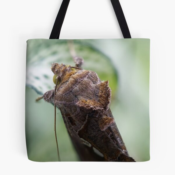 Item preview, Cabbage looper moth macro photo designed and sold by hendrikspix.