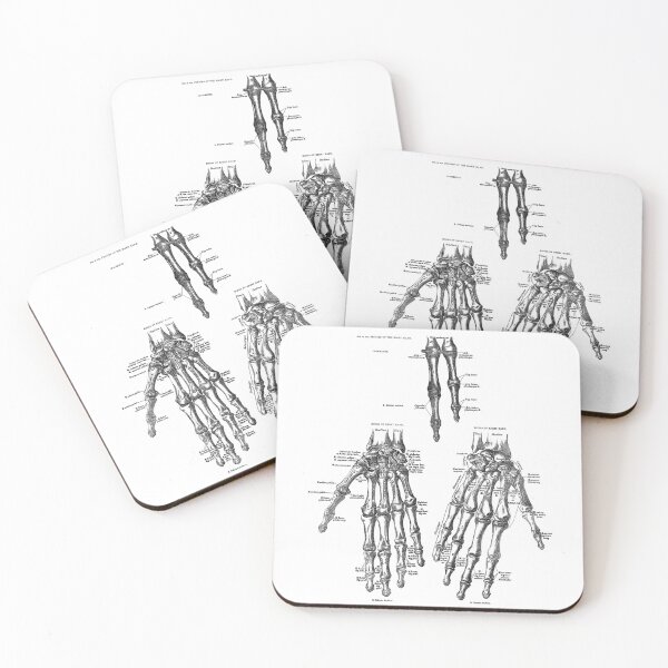 Item preview, Vintage anatomical drawing of hands designed and sold by Random Railways.