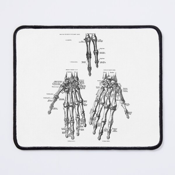 Item preview, Vintage anatomical drawing of hands designed and sold by Random Railways.