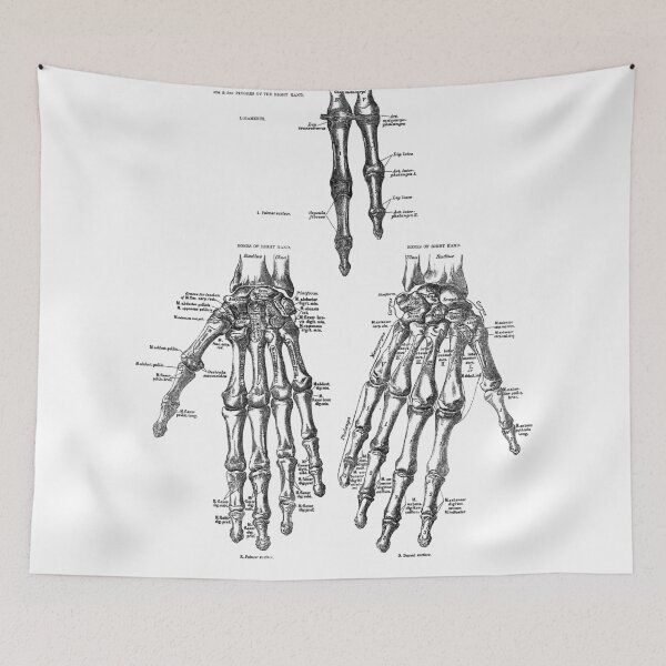 Item preview, Vintage anatomical drawing of hands designed and sold by Random Railways.
