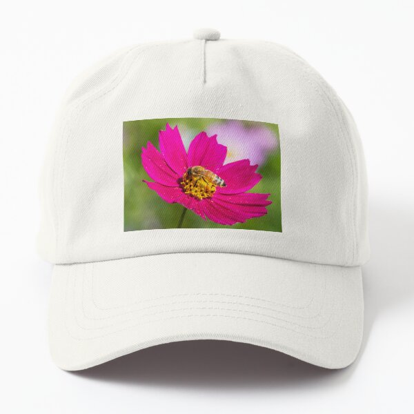 Bee beautiful pink flower. Dad Hat