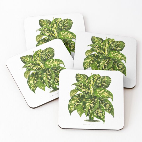 Item preview, Vintage Botanical Plant Illustration - Colocasia (Elephant Ear) designed and sold by Naturalist Prints.