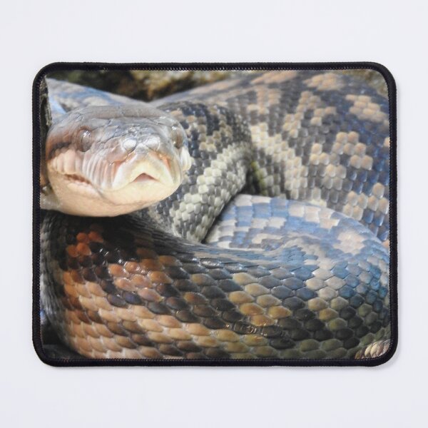 Item preview, Amethystine Python designed and sold by kirstybush.