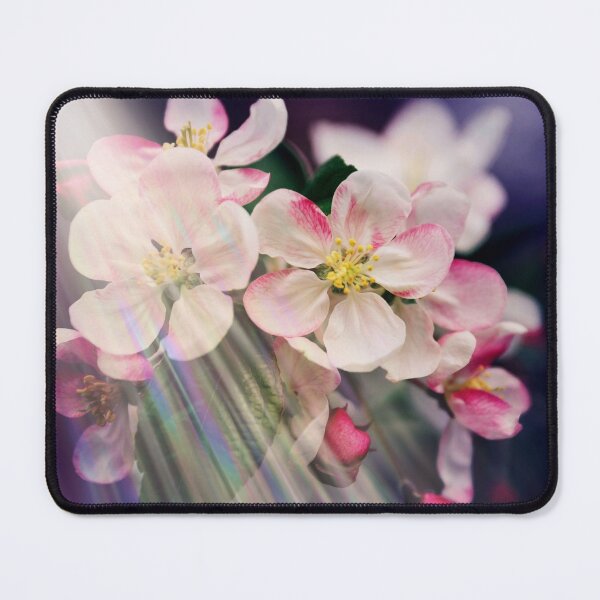 Item preview, Cherry Blossom with Rainbow Rays designed and sold by JulieSouster.