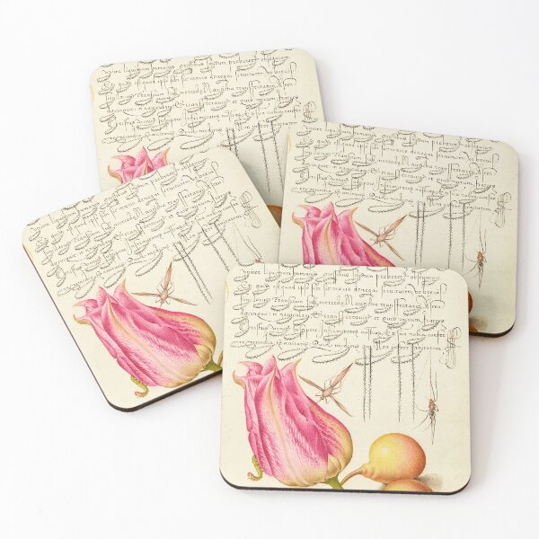 Item preview, Naturalist Manuscript: Insects, Flower and Fruit Calligraphy Illumination - Imaginary Insect, Tulip, Spider, and Common Pear  by Joris Hoefnagel designed and sold by Naturalist Prints.