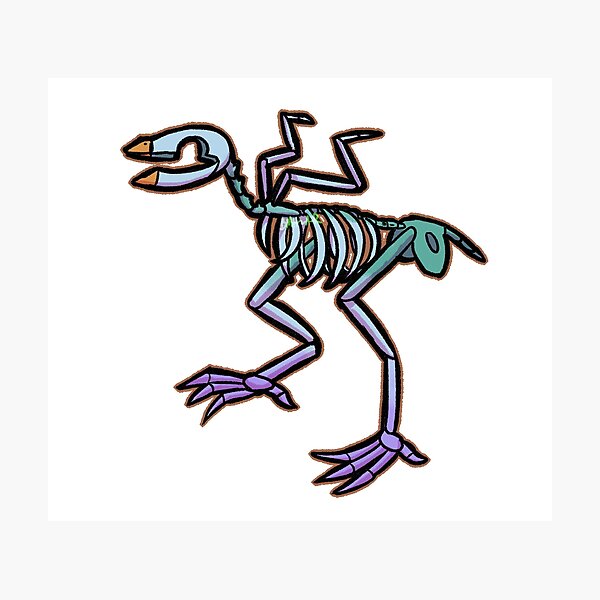 Item preview, skele bird sticker 5 designed and sold by BlueMoonHound.