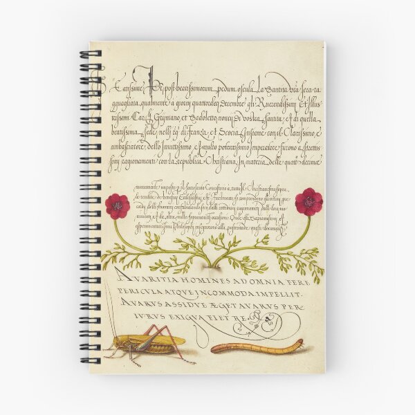 Item preview, Naturalist Manuscript: Insects and Flower Calligraphy Illumination - Pheasant s-Eye, Cricket or Grasshopper, and Wireworm by Joris Hoefnagel designed and sold by Naturalist Prints.