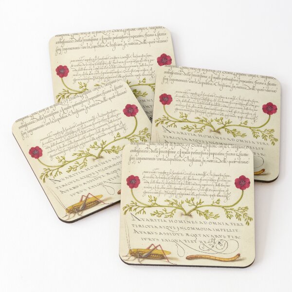 Item preview, Naturalist Manuscript: Insects and Flower Calligraphy Illumination - Pheasant s-Eye, Cricket or Grasshopper, and Wireworm by Joris Hoefnagel designed and sold by Naturalist Prints.