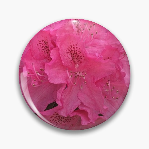 Item preview, Pink Rhododendron  designed and sold by webgrrl.