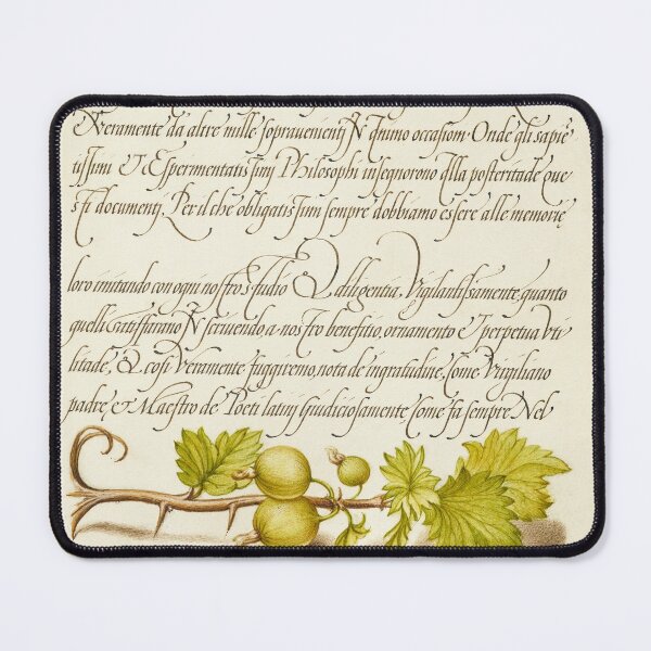 Item preview, Naturalist Manuscript: Plant, Fruits and Calligraphy Illumination - Pheasant s-Eye, Cricket or Grasshopper, and Wireworm by Joris Hoefnagel designed and sold by Naturalist Prints.