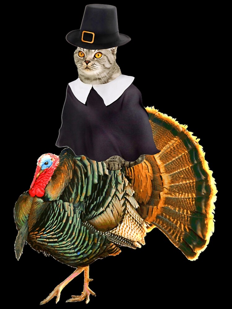 Buy Pilgrim Turkey Cat Collar Limited Edition Online