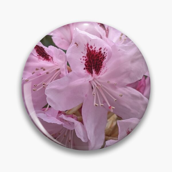 Item preview, Soft Pink Rhododendron  designed and sold by webgrrl.