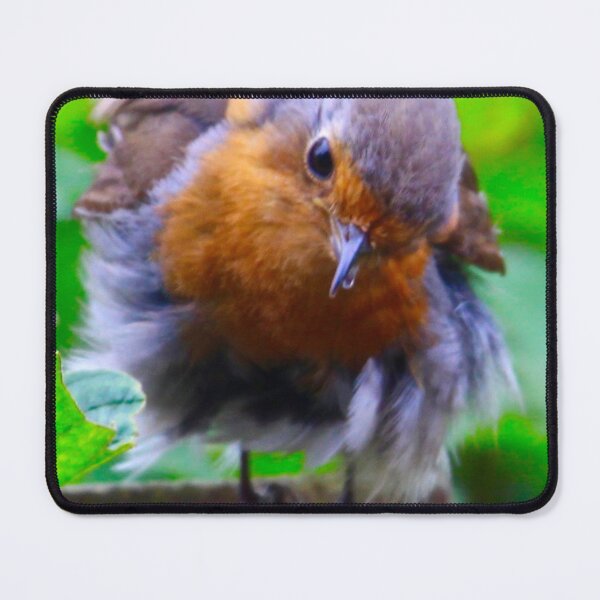 Item preview, The Cute Little Red Robin! designed and sold by Mickangelhere.