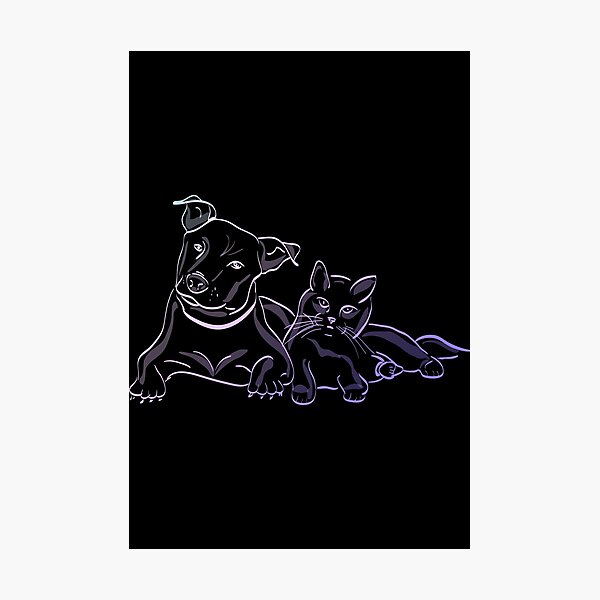 Art Mural Sur Le Theme Chat Et Contour De Chien Redbubble