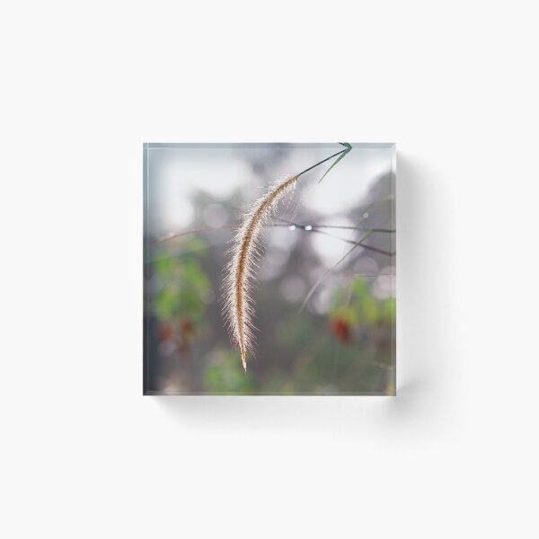 Item preview, Reed Grass designed and sold by sinseeho.