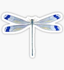 Helicopter Damselfly Sticker