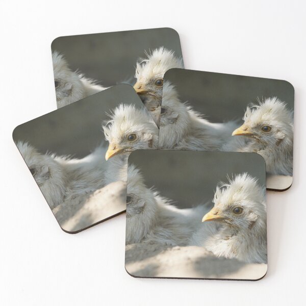 Item preview, Silk hen chick designed and sold by Lalingla.