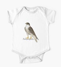 Wanderfalke (Falco peregrinus) Baby Body Kurzarm