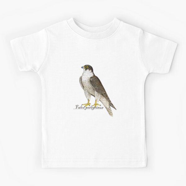 Minimalist Peregrine Falcon Tshirt