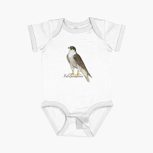 Peregrine Falcon (Falco peregrinus) Short Sleeve Baby One-Piece