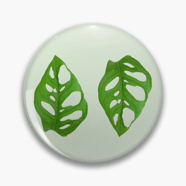 Item preview, Monstera Adansonii designed and sold by mooneko.