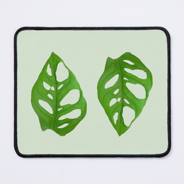 Item preview, Monstera Adansonii designed and sold by mooneko.