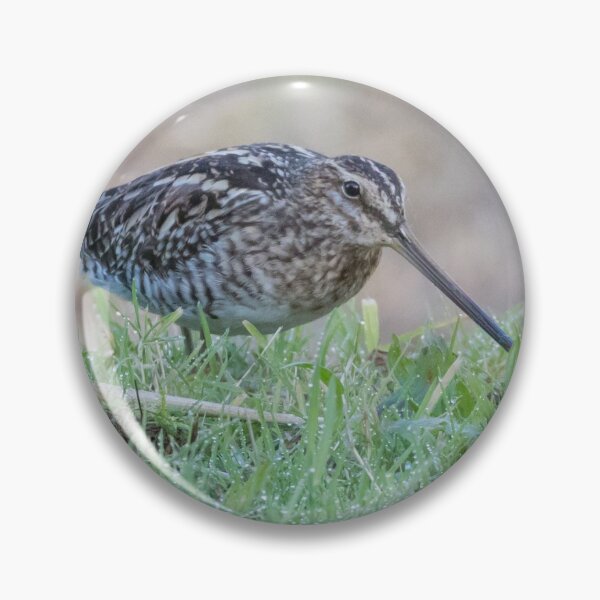 Item preview, Snipe designed and sold by LaurenTucker.