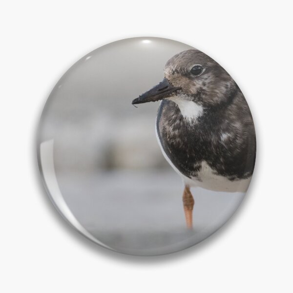 Item preview, Turnstone designed and sold by LaurenTucker.