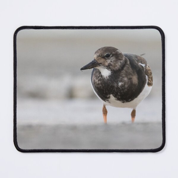 Item preview, Turnstone designed and sold by LaurenTucker.