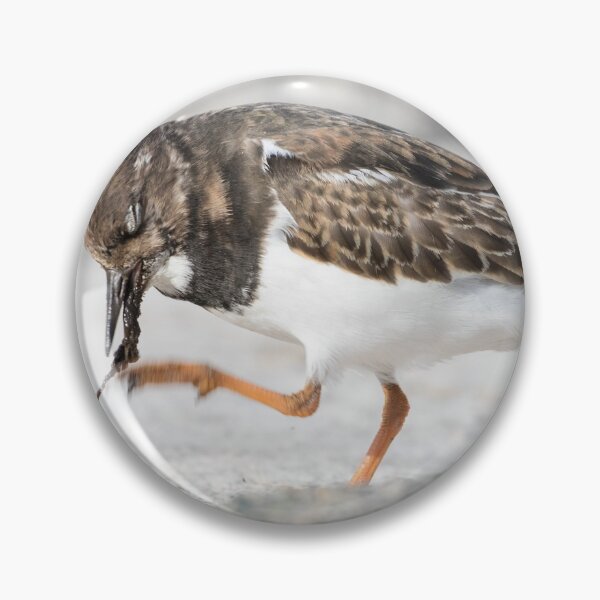 Item preview, Turnstone designed and sold by LaurenTucker.