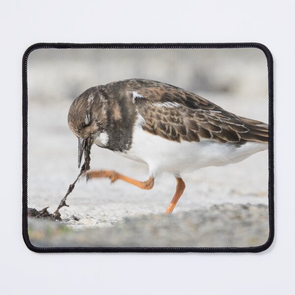 Item preview, Turnstone designed and sold by LaurenTucker.