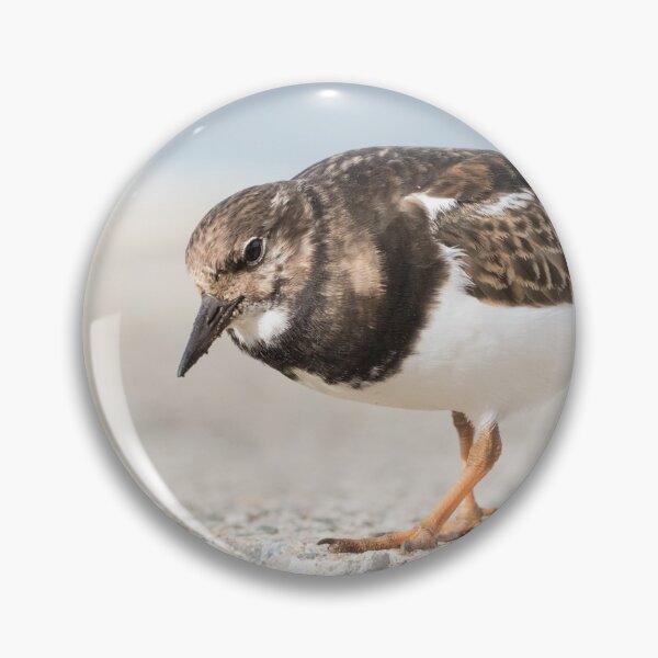 Item preview, Turnstone designed and sold by LaurenTucker.