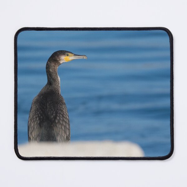 Item preview, Shag designed and sold by LaurenTucker.