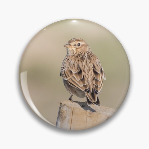Item preview, Skylark designed and sold by LaurenTucker.