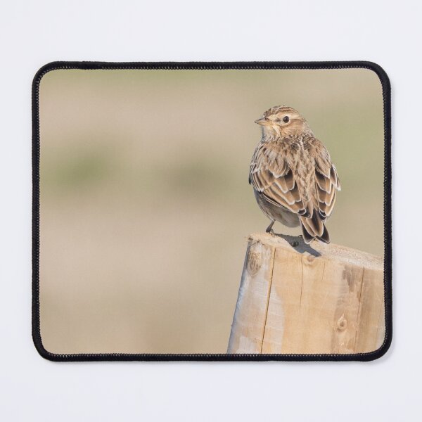 Item preview, Skylark designed and sold by LaurenTucker.
