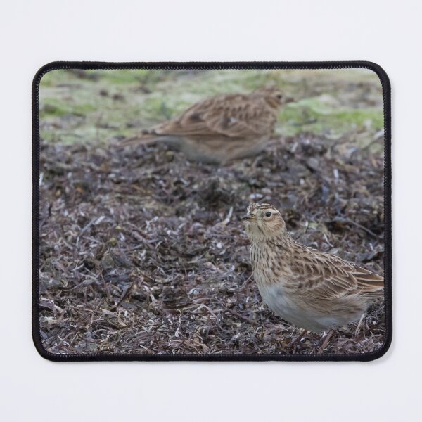 Item preview, Skylark designed and sold by LaurenTucker.