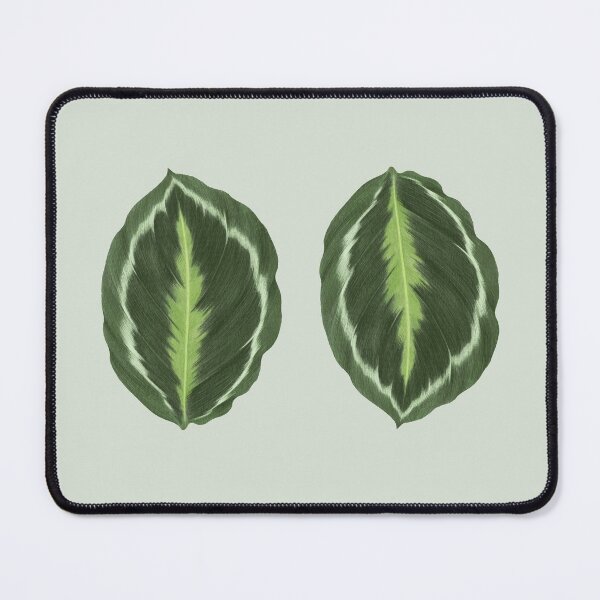 Item preview, Calathea Medallion designed and sold by mooneko.
