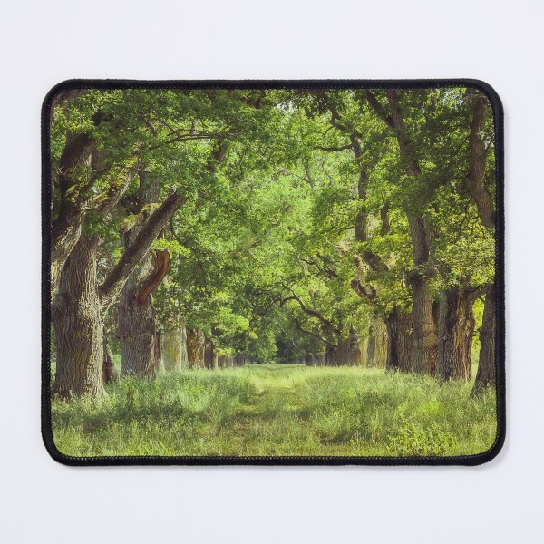Item preview, Oak Tree Alley designed and sold by Nicklas81.