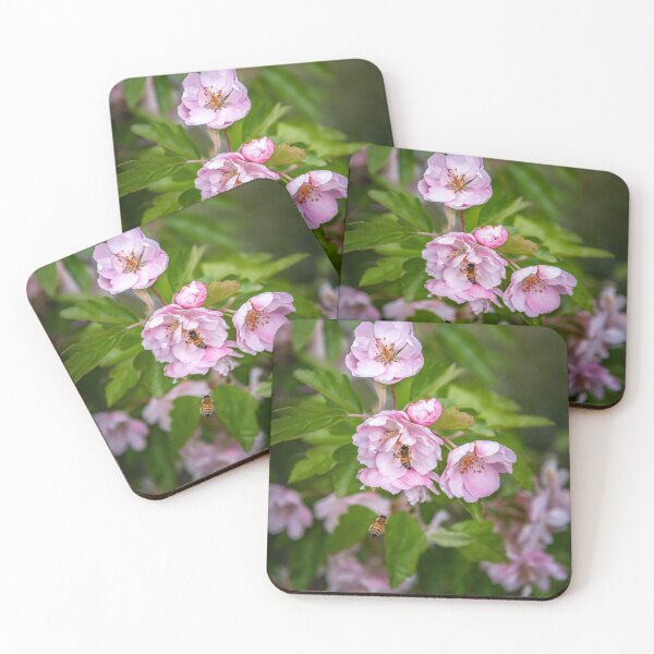 Item preview, Bees around spring flowers designed and sold by Teniche.