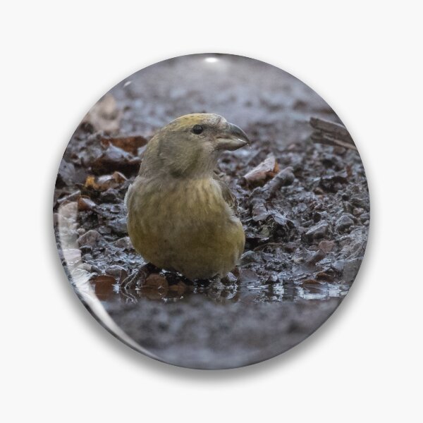 Item preview, Crossbill designed and sold by LaurenTucker.