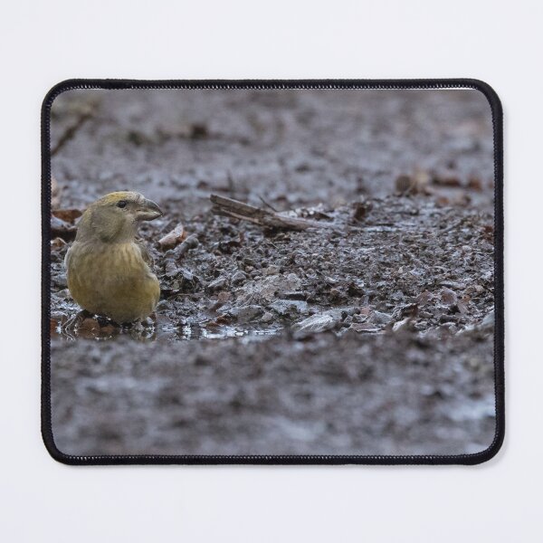 Item preview, Crossbill designed and sold by LaurenTucker.