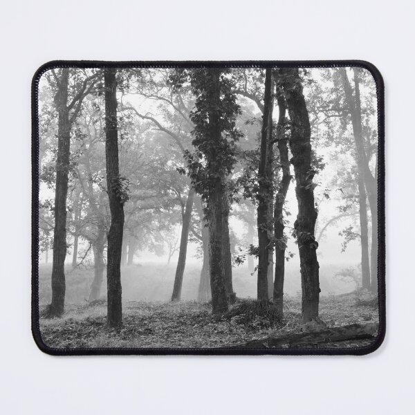 Item preview, Forest at Kanha national park India natural environment in monochrome, for personal gifts. designed and sold by CameraDesign.